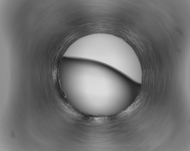 X0000111190188200907011016