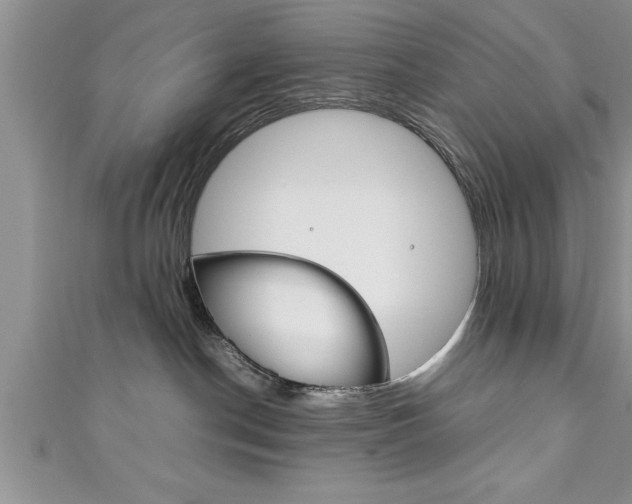 X0000111190190200907011017