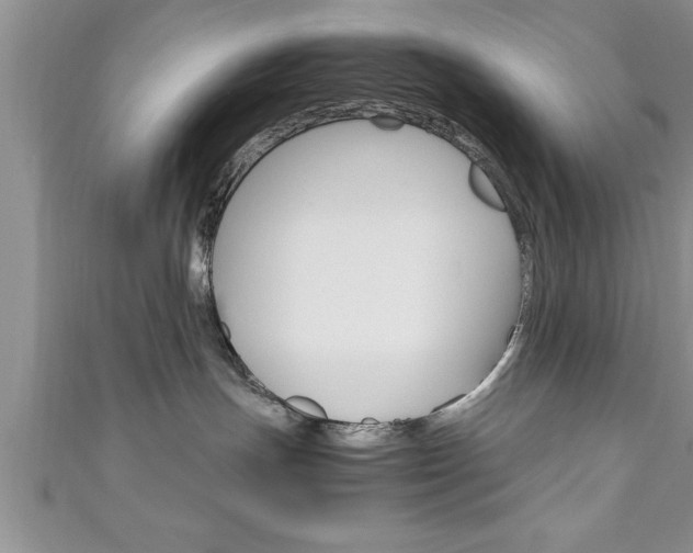 X0000111190191200907011017