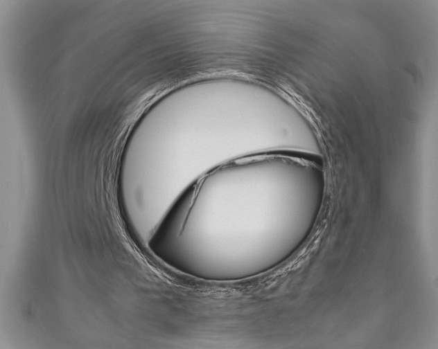 X0000111190193200907011016