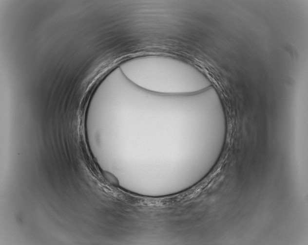 X0000111190194200907011016