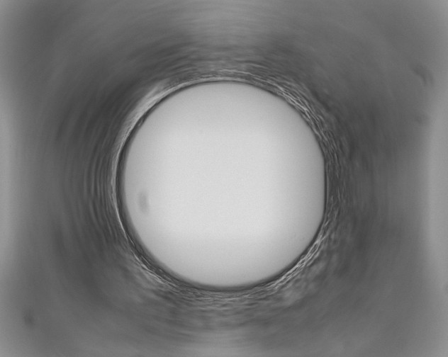 X0000111190195200907011016