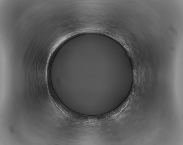 X0000111190196200907011016