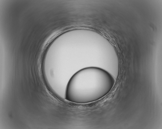 X0000111190197200907011016