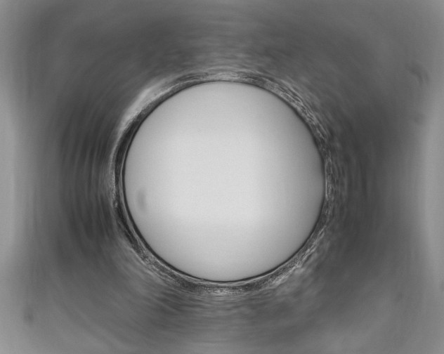 X0000111190198200907011016