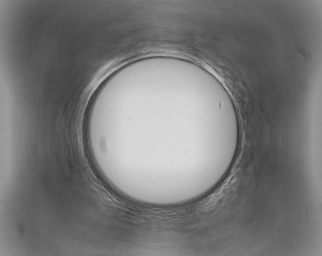 X0000111190199200907011016