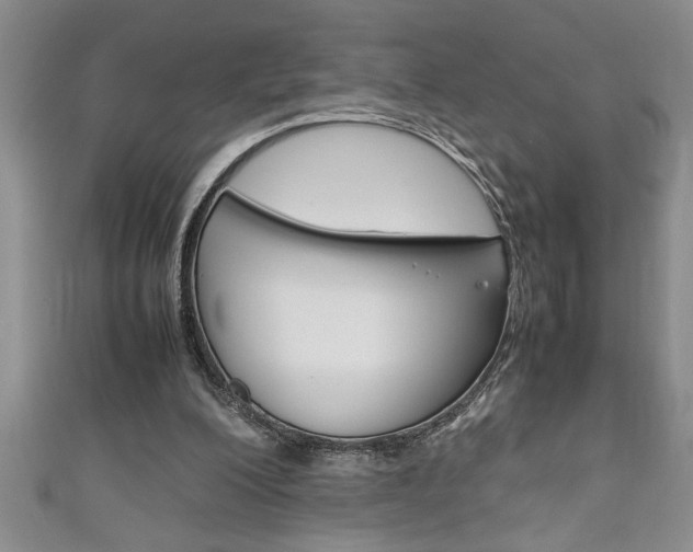 X0000111190200200907011016