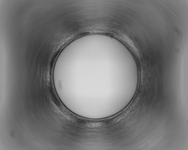 X0000111190202200907011016