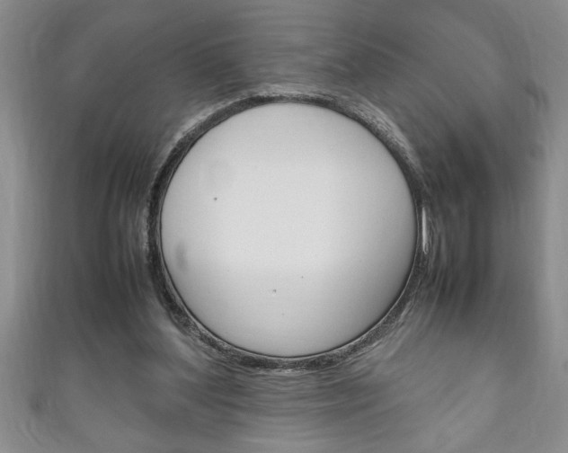 X0000111190204200907011016