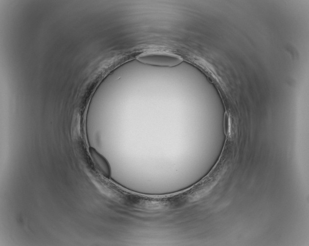 X0000111190205200907011016