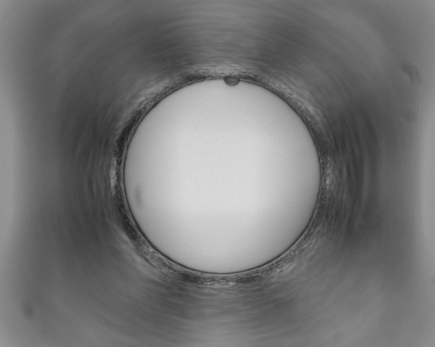 X0000111190206200907011016