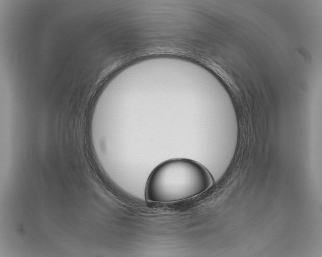 X0000111190207200907011016