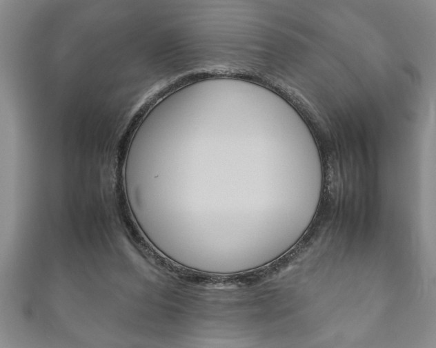 X0000111190208200907011016