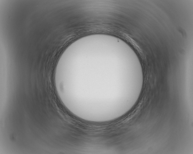 X0000111190209200907011016