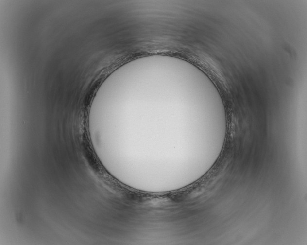 X0000111190210200907011016