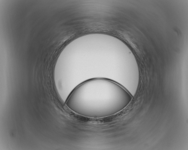 X0000111190211200907011016