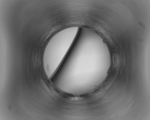 X0000111190212200907011016