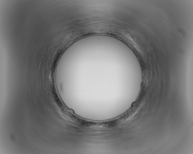 X0000111190213200907011015