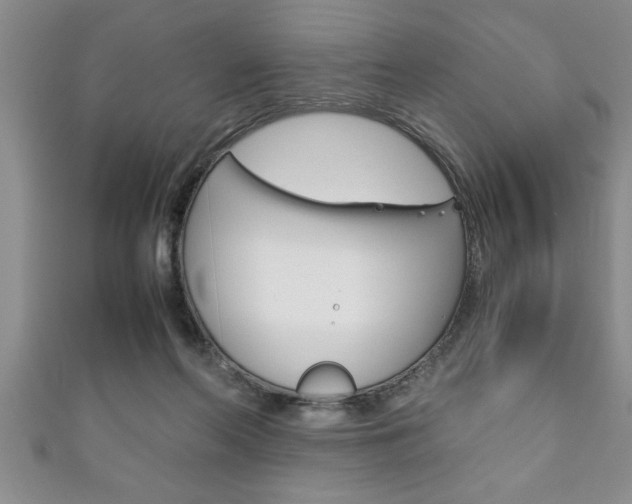 X0000111190214200907011015