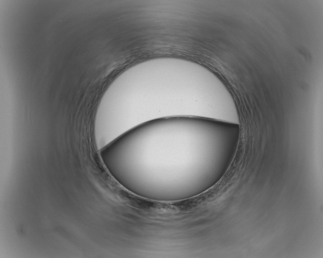 X0000111190215200907011015