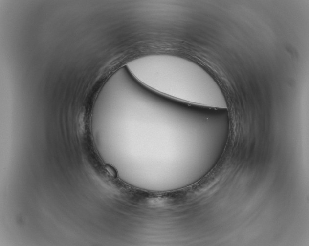 X0000111190216200907011015