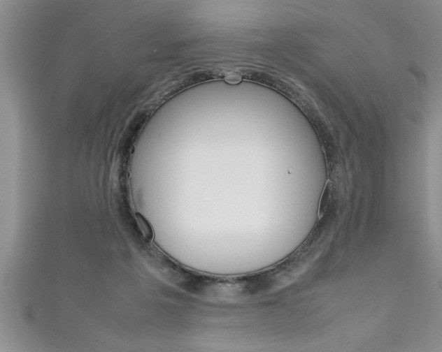 X0000111190217200907011015