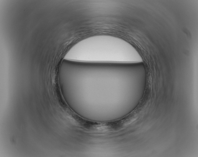 X0000111190219200907011015