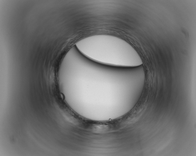 X0000111190220200907011015