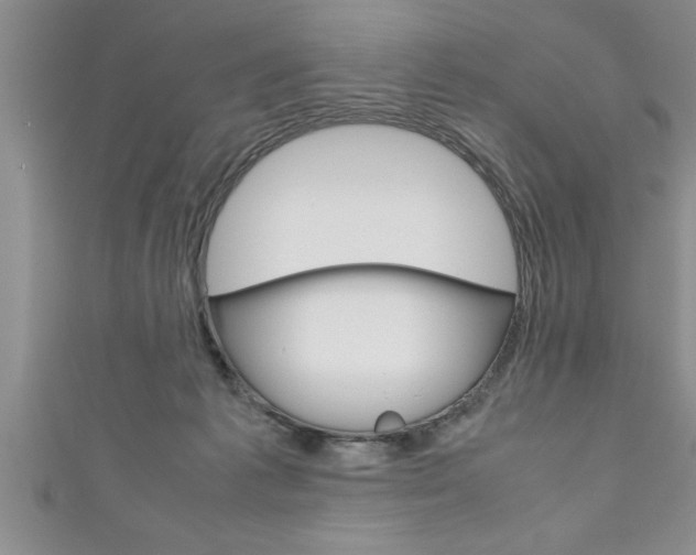 X0000111190221200907011015