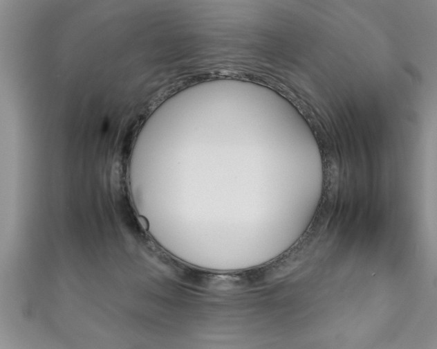 X0000111190222200907011015