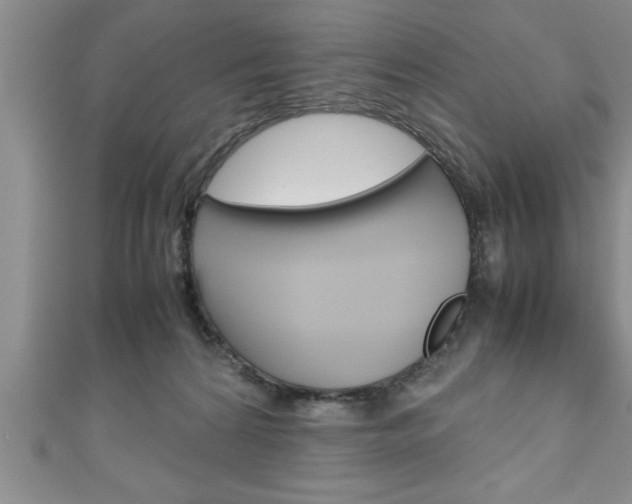 X0000111190224200907011015