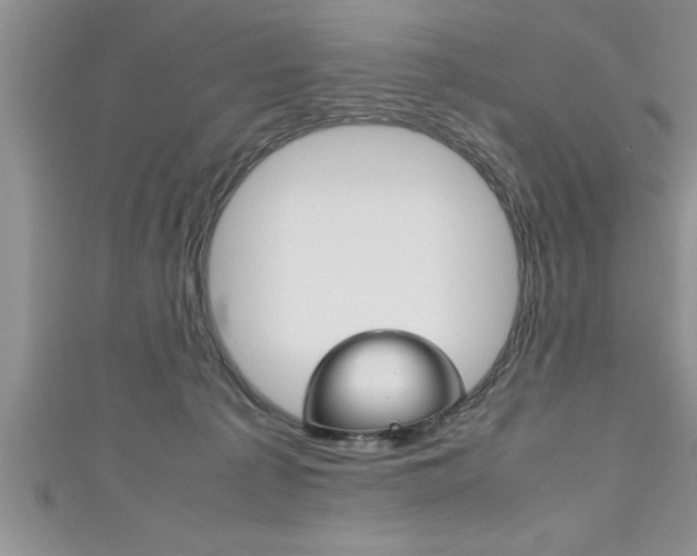 X0000111190225200907011015