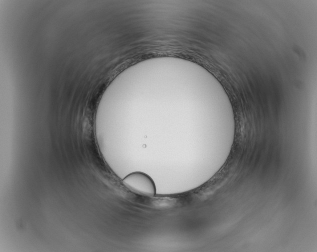 X0000111190226200907011015