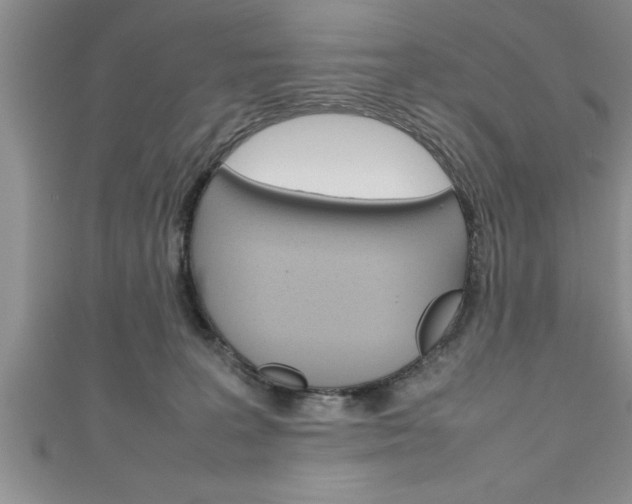 X0000111190227200907011015