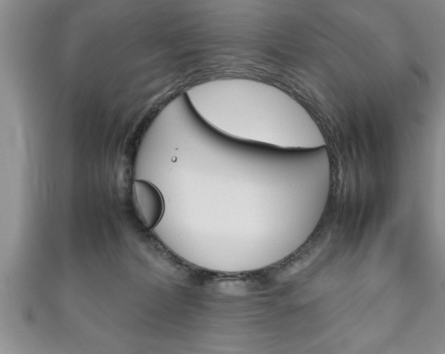 X0000111190228200907011015