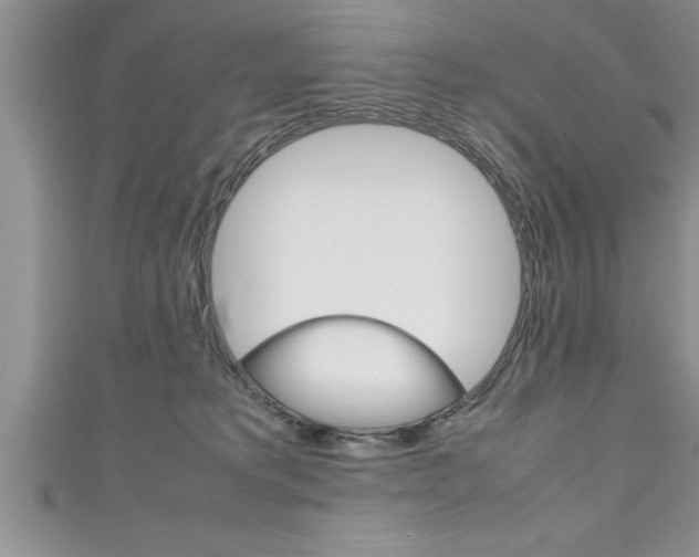 X0000111190229200907011015