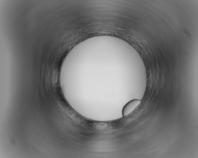 X0000111190230200907011015