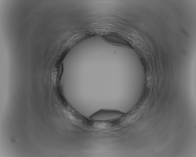 X0000111190231200907011015