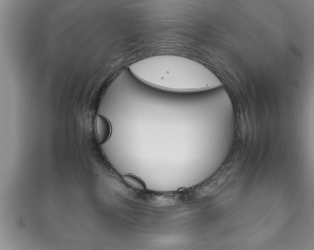 X0000111190232200907011015