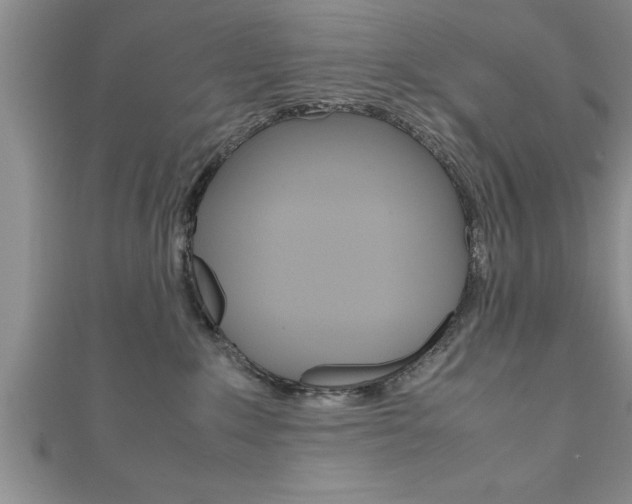 X0000111190235200907011015