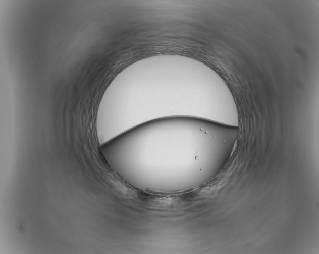 X0000111190237200907011015