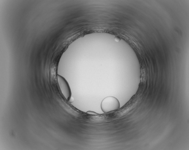 X0000111190238200907011015