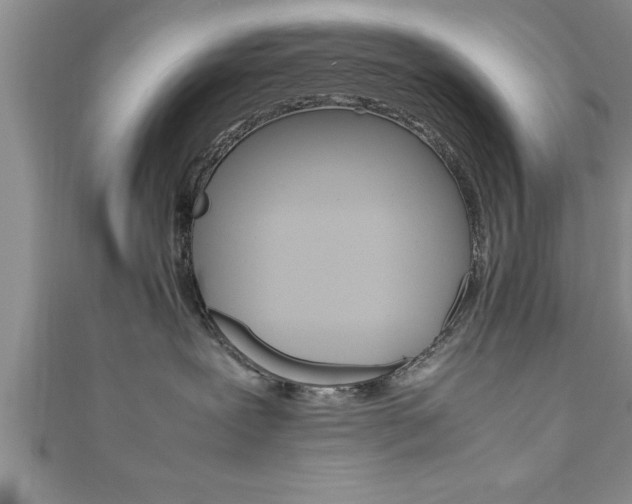 X0000111190239200907011015