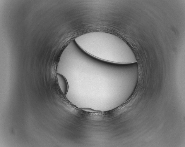 X0000111190240200907011015