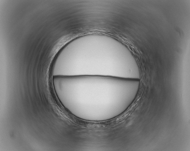 X0000111190242200907011015