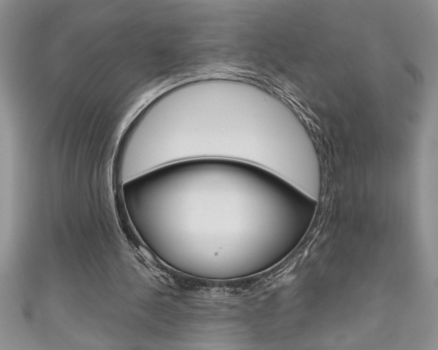 X0000111190244200907011015