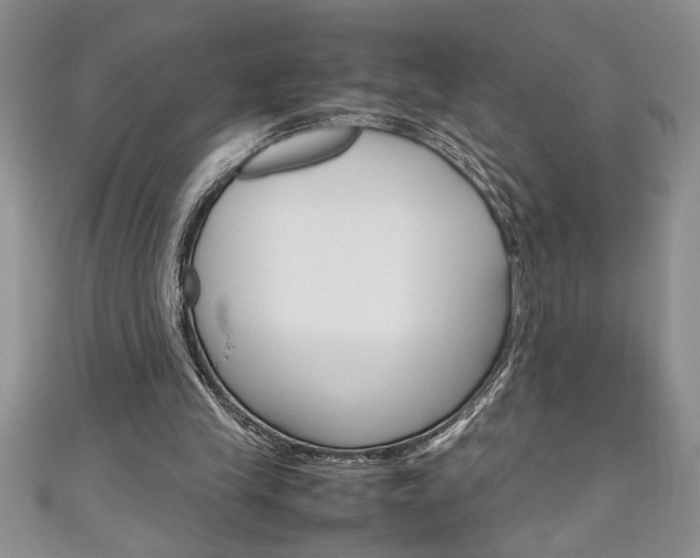 X0000111190245200907011015