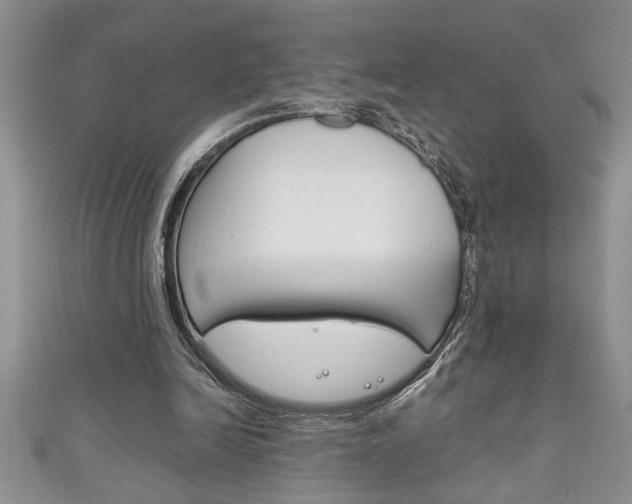 X0000111190246200907011015