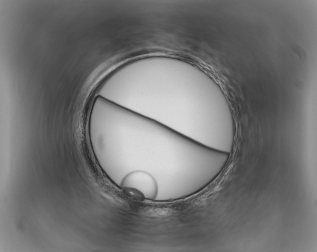 X0000111190247200907011015