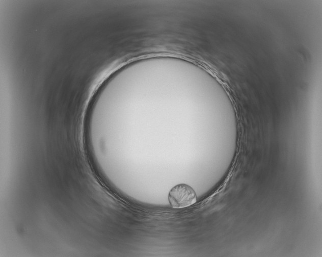 X0000111190248200907011015